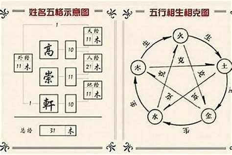 柏五行|柏字的五行是什么,柏的五行属性及吉利寓意